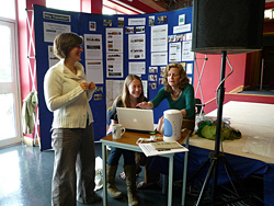 diversity-edmittance