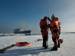 arctic-fruchtzwerg's-world